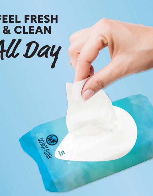 Load image into Gallery viewer, Summer’S Eve Fragrance Free Gentle Daily Feminine Wipes, Removes Odor, Ph Balanced, 32 Ct
